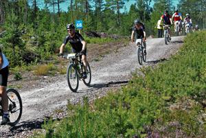 Cykelvasan lockar cykeltjuvar