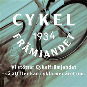 Den 3 juni är Cykelns dag. Det har FN bestämt.